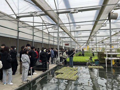土木建筑工程學(xué)院與機(jī)電工程學(xué)院赴牧原集團(tuán)開展參觀學(xué)習(xí)活動